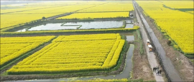 油菜花赋沿线人居环境整治项目已基本完工