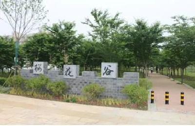 江陵县六合垸管理区： 紧锣密鼓筹办首届樱花主题活动