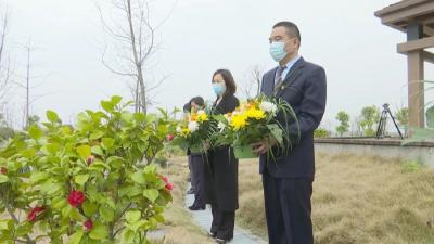 【最闪亮的坐标】集体“代祭扫”映衬人性化祭祀服务