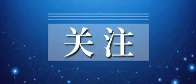 严惩！4名男子高速翻越围栏躲避集中隔离