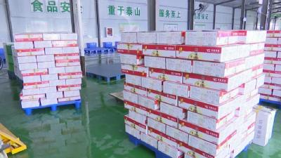 湖北秒捷汇争分夺秒分拣2.2万份生活物资驰援上海