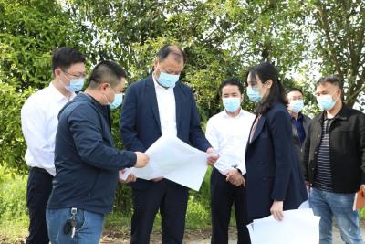 江陵县召开沙岗镇、普济镇全域国土综合整治项目初步设计汇报会