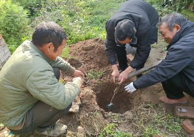 江陵县封堵荆江大堤沿线水井  确保安全度汛