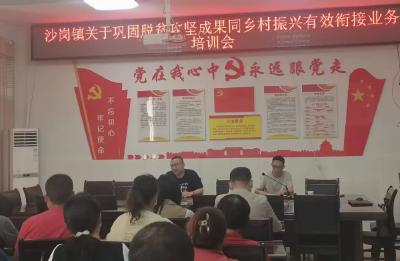 沙岗镇召开巩固脱贫攻坚成果同乡村振兴有效衔接业务培训会