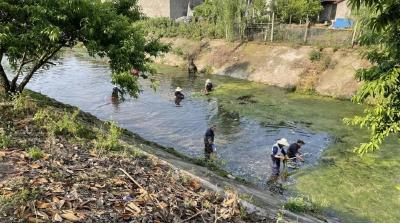 马家寨乡：清理渠道垃圾  助力春耕生产  