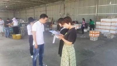 铆足“三股劲”，绽放最美江陵人社花
