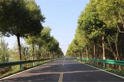 江陵县农村公路养护管理评价居全省榜首