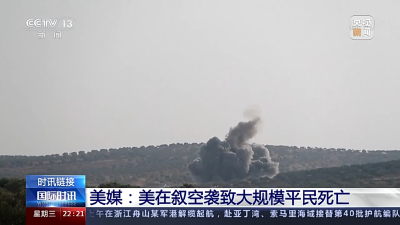 美国防部就空袭叙平民发布调查报告：“没有人需要负责”
