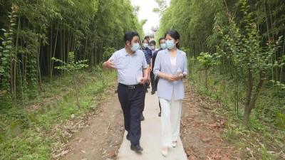 孙玉秋调研江陵包联企业生产经营工作