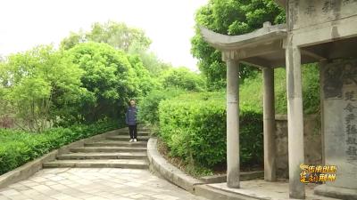 V视丨问鼎中原
