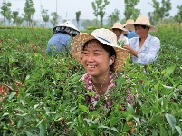 我们的新时代