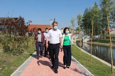 做好“水文章” 全运宝调研黑臭水体整治工作