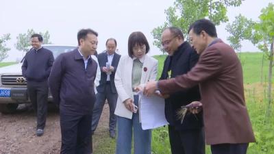 无锡市海钰船舶科技有限公司考察江陵船舶工业园建设