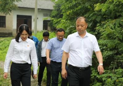 机械？能收多少谷？今天，全运宝和沙岗镇村民这样拉家常