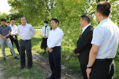 民生无小事，枝叶总关情！李先刚调研白马寺镇