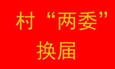 党旗在基层一线高高飘扬丨为全面推进乡村振兴夯实筑牢战斗堡垒——全国村“两委”换届工作顺利完成