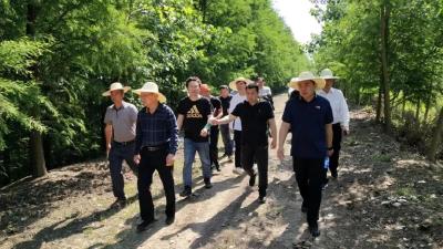 三湖管理区组织开展徒步巡堤查险活动