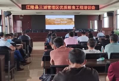 三湖管理区组织召开优质粮食  工程培训会暨病虫害防治现场会