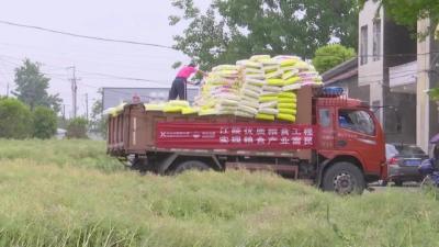 县农业农村局联合中化农业公司将228吨肥料送往白马寺镇