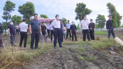 三湖管理区、六合垸管理区分别召开优质粮食工程推进现场会