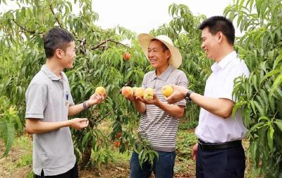 万亩桃园结出“幸福果”