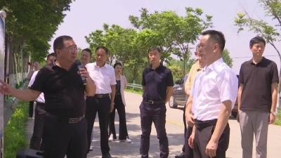 黄镇调研江陵县“山水项目”工作情况