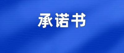 2022年度抓基层党建工作公开承诺书