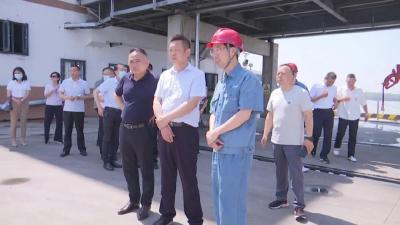 市政协调研江陵新能源新材料产业发展工作