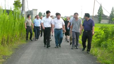 游艾青调研“千里江陵”区域公用品牌水稻品种示范基地