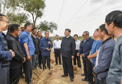 总书记心中的美丽中国·沙 困难面前不低头 敢把沙漠变绿洲