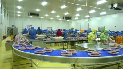 湖北餐虎：近800名工人赶制订单，形势喜人