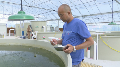 鱼苗养殖工厂化，秦市这家合作社的鱼苗不愁销！