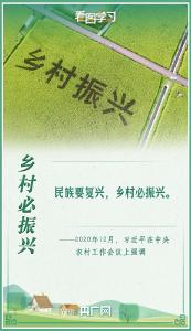 看图学习丨跟总书记共绘乡村振兴壮美画卷