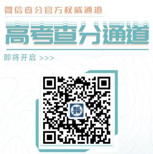高考查分！这里这里！！！
