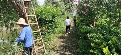 马家寨乡耀新村：掀起人居环境整治的高潮 