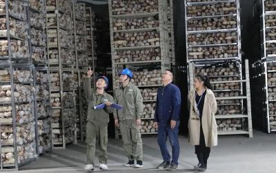供电公司走访企业解难题 闹“别扭”的变压器马上听话了