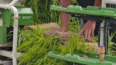 熊河镇熊彭村：农业机械助力粮食生产