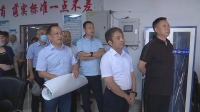 吕忠扬调研江陵新能源新材料产业发展情况