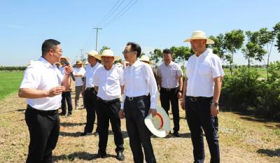 如何确保江陵高标准农田发挥作用？郭永田这样要求