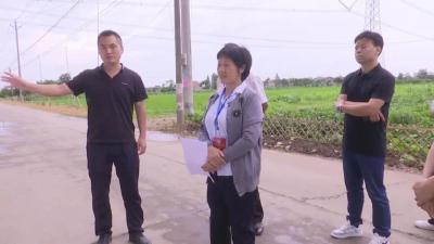 县政协视察2022年提案办理工作