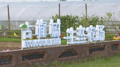 乡村美了、产业强了、收入增了……江陵县在发展乡村旅游中探索共享经济新模式