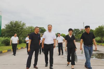 打造优质食材制造商，全运宝调研民华农业
