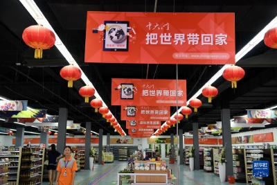 奋进新征程 建功新时代·非凡十年｜河南：抓机遇崛起开新局 埋头干发展更出彩