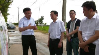 省农业农村厅到江陵督导粮食安全与耕地撂荒清理整治工作