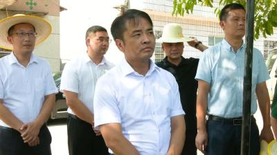 李先刚到白马寺镇开展蹲点式下基层调研 