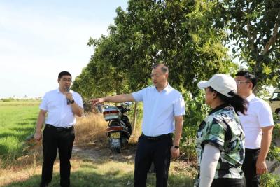 全运宝调研减灾救灾和粮食收储工作 