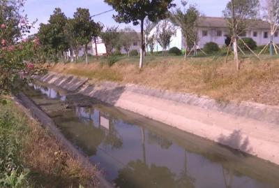 资市镇青山村：主水渠断流 干部群众找水补水自救
