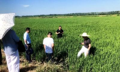 县应急管理局开展蹲点式下基层调研活动