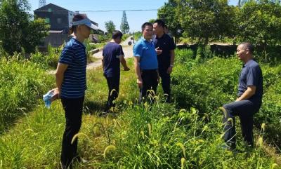 荆州市防办到江陵调研指导抗旱工作
