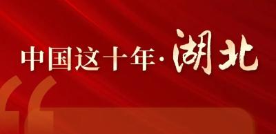 这十年，湖北发生了什么？